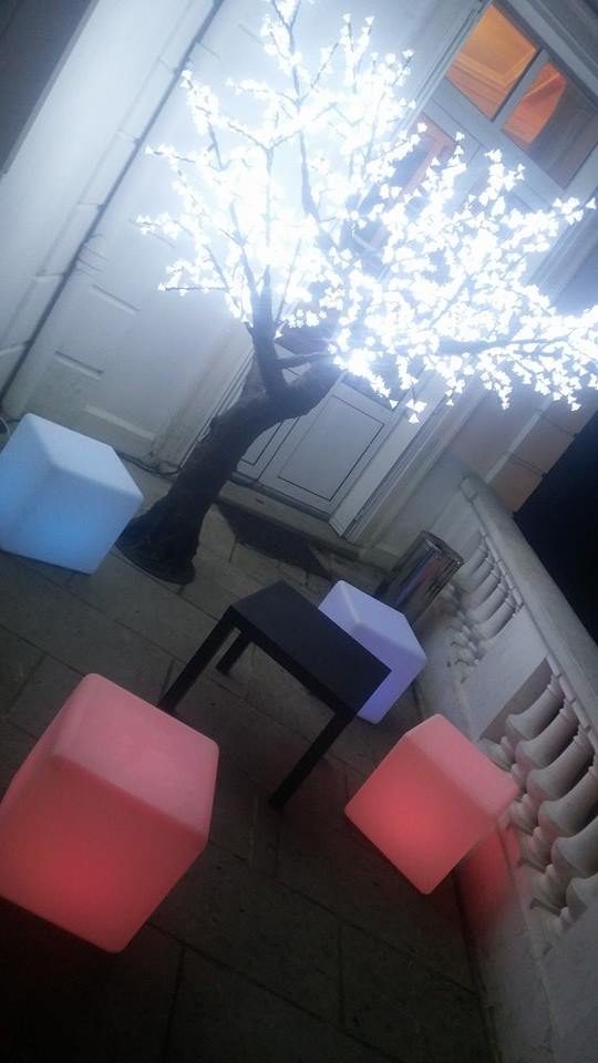 JSSEVN Arbre Lumineux à LED 35 cm - Arbre Lumineux avec Fleurs - Cerisier -  Décoration extérieure pour Noël, Mariage, fête : : Cuisine et  Maison