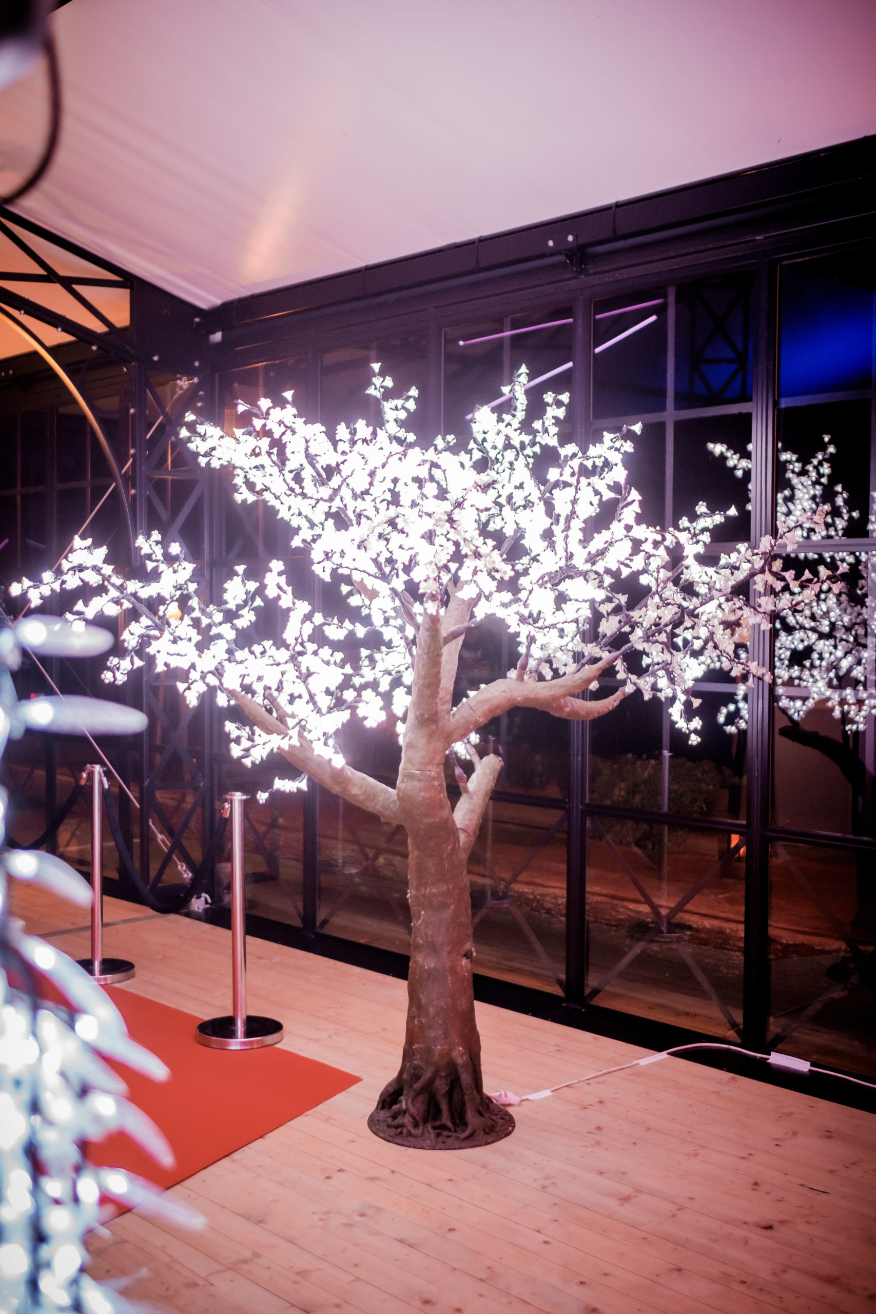 Cerisier LED 2.5m - Illuminason