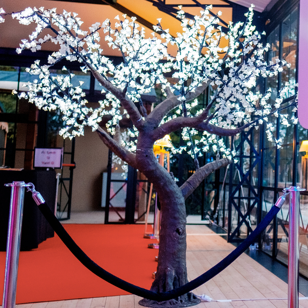 Cerisier LED 2.5m - Illuminason
