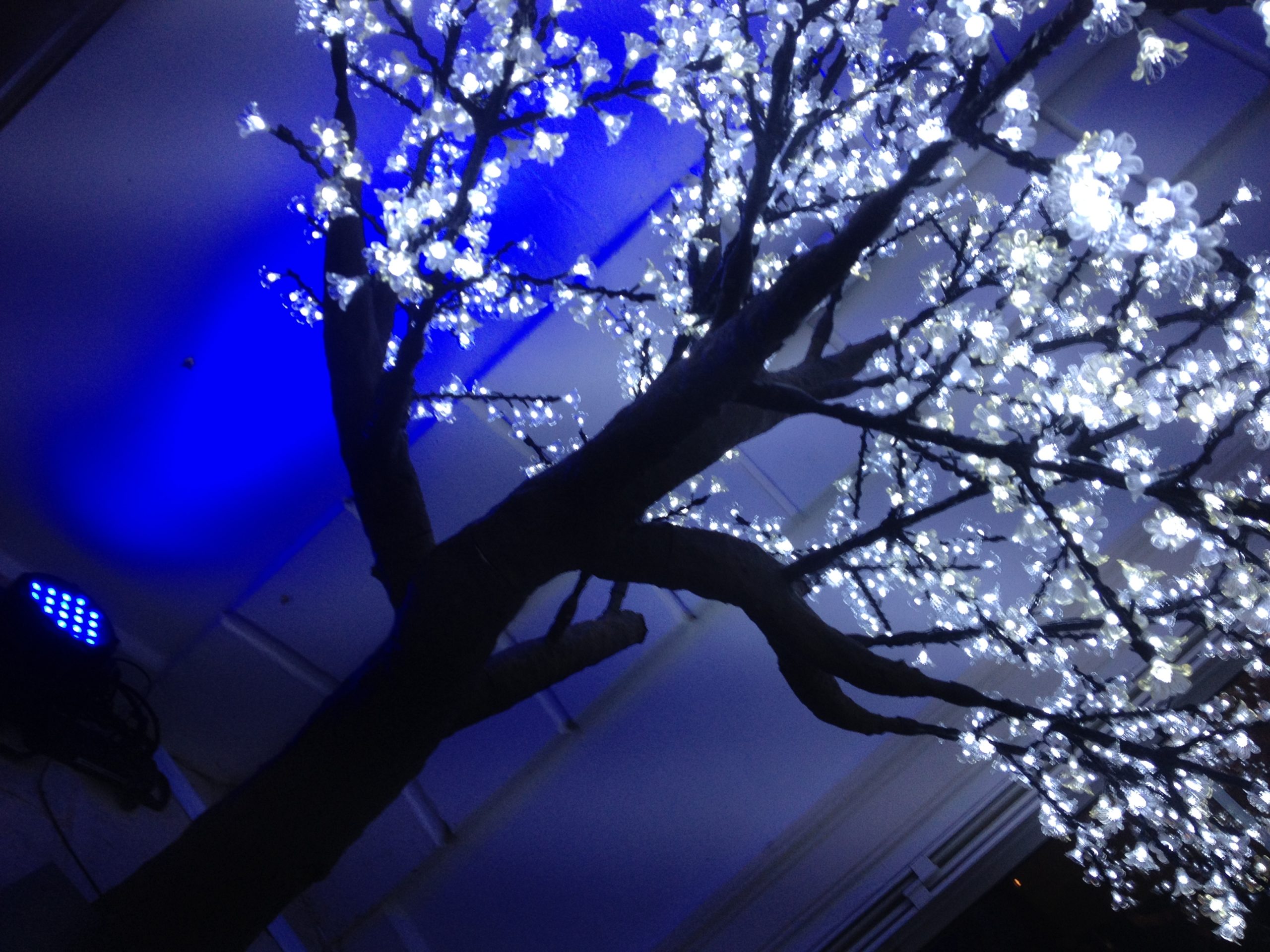 LED Lampe de Cerisier, .45M 48LED, Arbre Lumineux LED, Branches Noires,  pour la décoration de Maison (Blanc) 